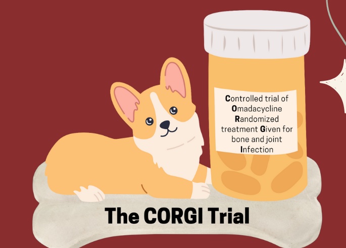 CORGI trial cartoon